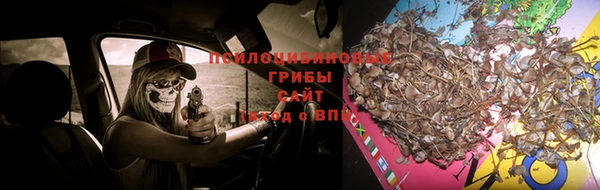 мескалин Алексеевка