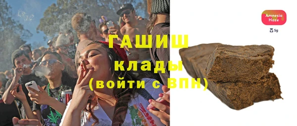 индика Протвино
