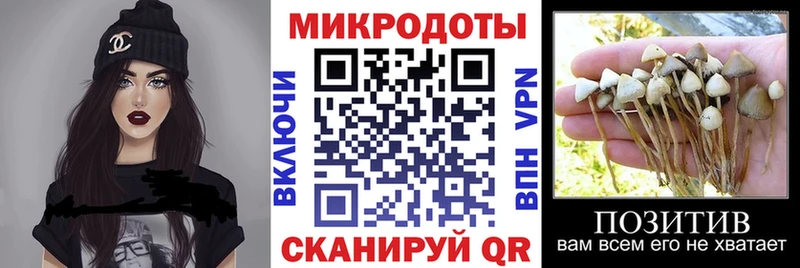 Псилоцибиновые грибы мицелий  что такое наркотик  Хотьково 