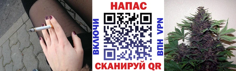 цены   Хотьково  Бошки Шишки планчик 